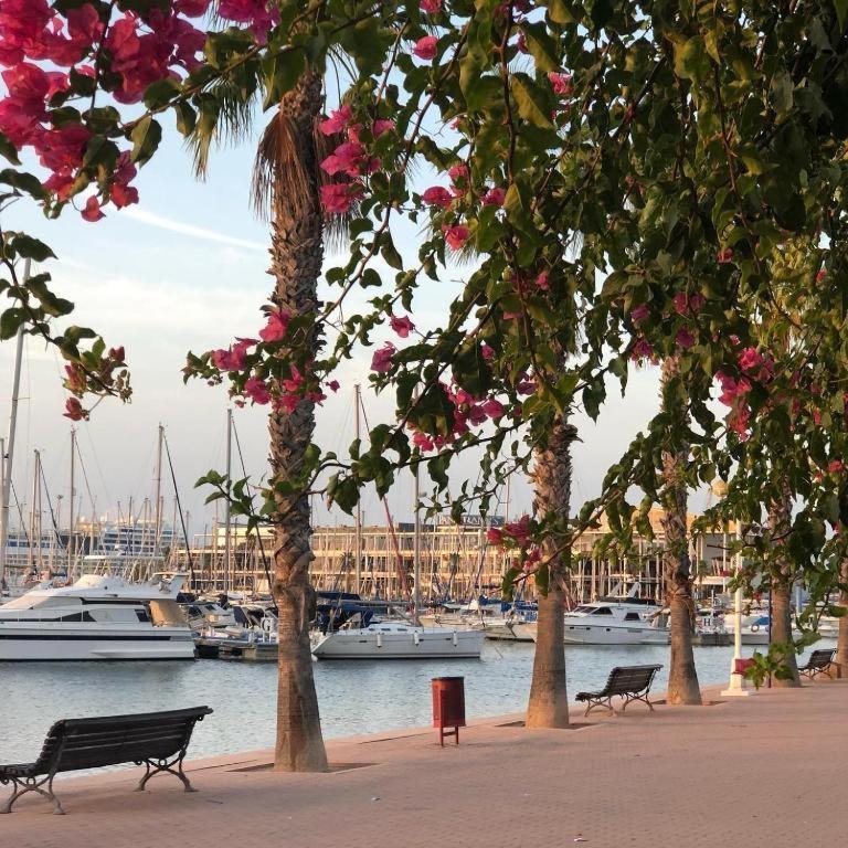 10-46-1- Комната В Квартире Для 4 Человек В Аликанте Alicante Esterno foto