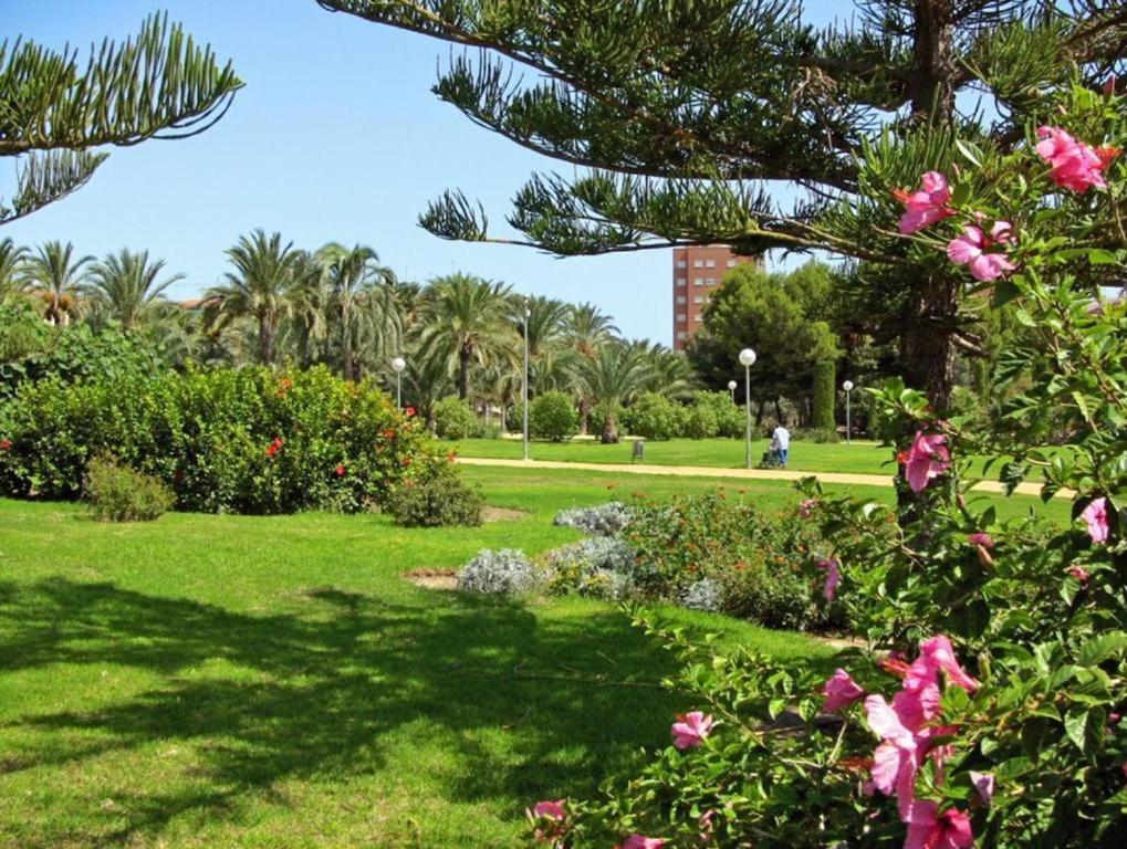 10-46-1- Комната В Квартире Для 4 Человек В Аликанте Alicante Esterno foto